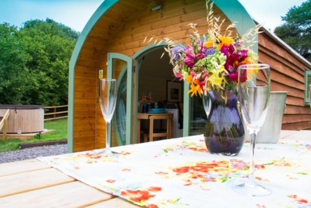 וורמינסטר Hidden Wood Glamping And The Hideaway Cabin מראה חיצוני תמונה